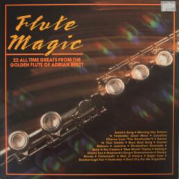 Rec007 Flute Magic CF - Pinball Mania